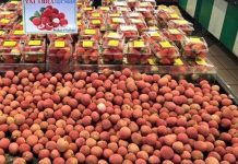 Quả vải Việt Nam xuất hiện ở siêu thị bán sỉ nổi tiếng Costco tại Australia