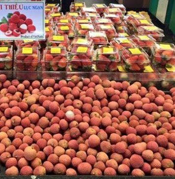 Quả vải Việt Nam xuất hiện ở siêu thị bán sỉ nổi tiếng Costco tại Australia