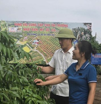 Bước tiến số từ mô hình điểm “thôn thông minh” tại xã Phúc Hoà