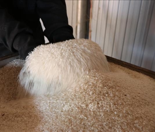 Thị trường nông sản: Xuất khẩu gạo kỳ vọng thu về 5 tỷ USD