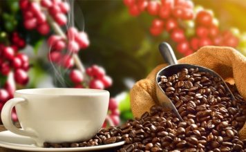 Nông sản chủ lực của Việt Nam dự báo gặp nhiều khó khăn vào EU năm 2025