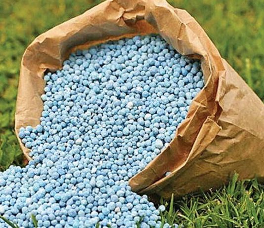 Xuất khẩu phân bón kỳ vọng bứt phá