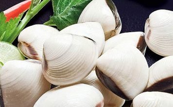 Xuất khẩu nghêu sang EU có xu hướng phục hồi