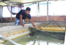 Phát huy nội lực của đồng bào dân tộc thiểu số trong phát triển kinh tế