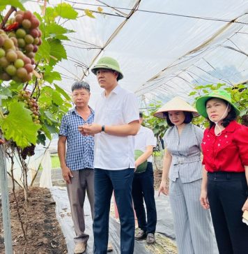 Hiệu quả sản xuất từ Diễn đàn Khuyến nông@