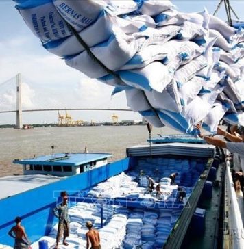 Xuất khẩu gạo với kỷ lục mới trên 8 triệu tấn