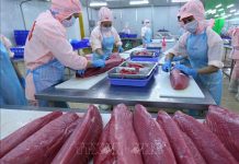 Xuất khẩu thủy sản trở lại mốc 1 tỷ USD/tháng sau hơn 2 năm