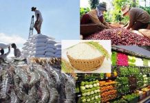 Đề xuất 4 chính sách phát triển nhãn hiệu, thương hiệu nông sản Việt Nam