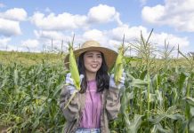 Phát triển du lịch nông thôn Việt Nam: Kinh nghiệm và triển vọng