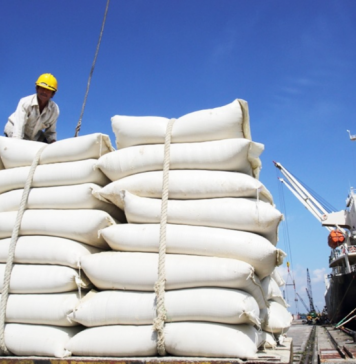 Xuất khẩu gạo năm 2024 có thể đạt kỷ lục 9 triệu tấn