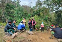 Hối hả lên rừng chăm sóc sâm Ngọc Linh