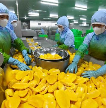 Xuất siêu nông lâm thủy sản đạt kỷ lục gần 18 tỷ USD