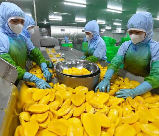 Xuất siêu nông lâm thủy sản đạt kỷ lục gần 18 tỷ USD