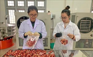 ‘Biến hóa’, nâng tầm giá trị nông sản Đà Lạt