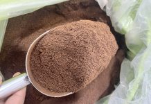 Cà phê chế biến trở thành mặt hàng tỷ đô