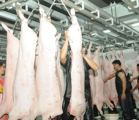 Người tiêu dùng ưu tiên chọn các thực phẩm khác vì giá thịt lợn tăng cao