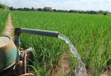 Ngành nông nghiệp từ phát thải đến tạo tín chỉ carbon