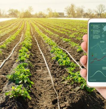 Cảm biến định lượng phân bón cho cây trồng