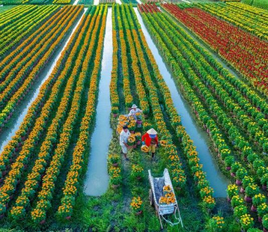 Chiến lược phát triển nông nghiệp và nông thôn – Một chiến lược nhiều kỳ vọng