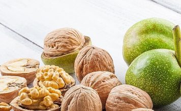 Cây óc chó – Vị thuốc chữa bệnh tim mạch hiệu quả