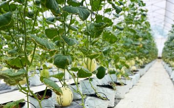 Thành phố Bắc Giang: Phát huy tiềm năng, bứt phá kinh tế – xã hội sau sáp nhập