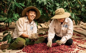 Xuất khẩu thủy sản lần đầu lép vế trước cà phê