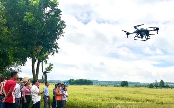 Đây là cách nông dân Bình Phước sống khỏe, ngày càng có thu nhập cao, xuất hiện nhiều tỷ phú