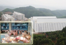 BAF Việt Nam muốn xây trại lợn 6 tầng đầu tiên tại Việt Nam