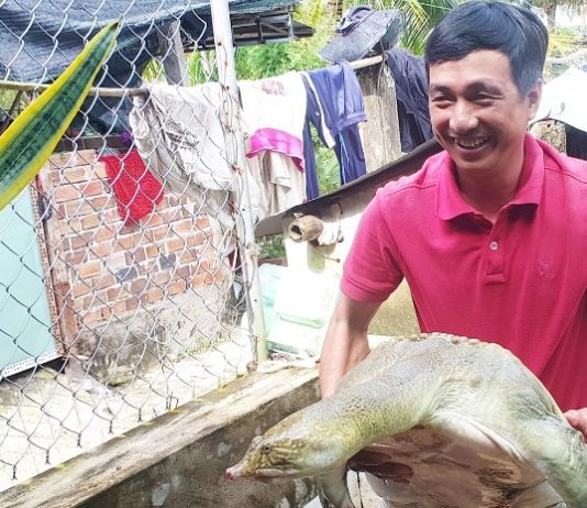 Anh nông dân kiếm tiền tỷ nhờ nuôi “thủy quái to bự” trong bể xi măng