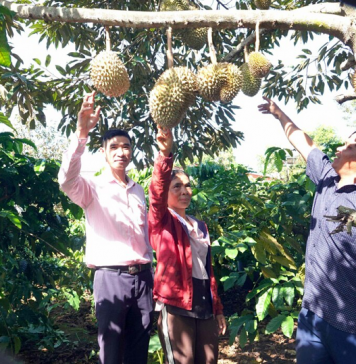 Gia Lai: Làng Kênh thoát nghèo nhờ “cần câu” từ Ngân hàng Chính sách xã hội