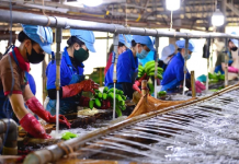 Hà Nội sẽ giảm 30% thủ tục hành chính để hỗ trợ doanh nghiệp