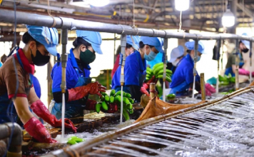 Hà Nội sẽ giảm 30% thủ tục hành chính để hỗ trợ doanh nghiệp