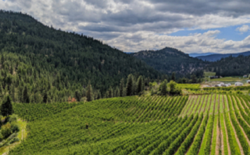 Mekong Capital sắp ra mắt quỹ đầu tư xanh 200 triệu USD: Cơ hội vàng cho nông nghiệp Việt