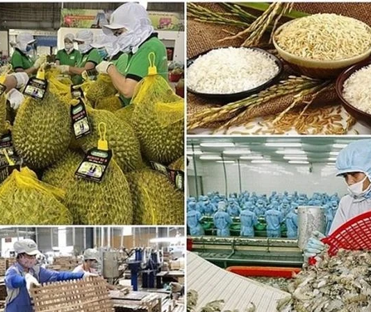 Nông lâm thủy sản và sầu riêng sẽ được ưu tiên thông quan
