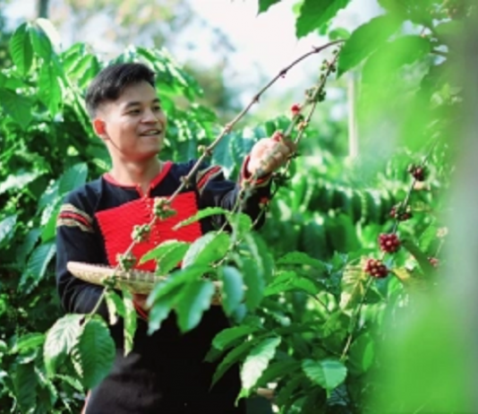 Nông nghiệp tư nhân – Từ kẻ theo sau thành người tiên phong chuyển đổi số