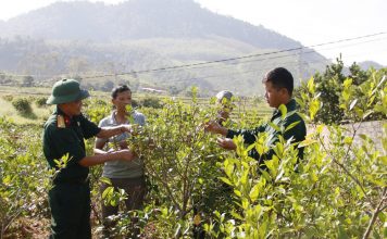 Bắc Ninh nỗ lực giảm nghèo bền vững: Hành trình đánh thức nội lực, đổi thay số phận