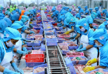 Hai kịch bản cho xuất khẩu thủy sản Việt Nam nửa cuối năm 2025