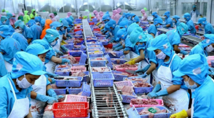 Hai kịch bản cho xuất khẩu thủy sản Việt Nam nửa cuối năm 2025