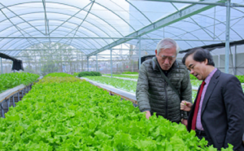 Không dễ đi đường thẳng: Những ngã rẽ của doanh nghiệp nông nghiệp