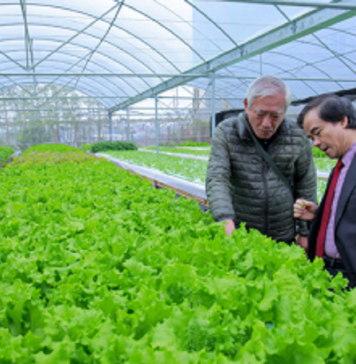 Không dễ đi đường thẳng: Những ngã rẽ của doanh nghiệp nông nghiệp