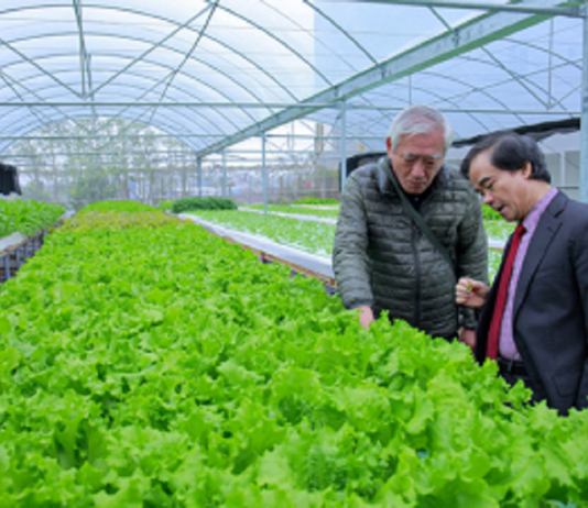 Không dễ đi đường thẳng: Những ngã rẽ của doanh nghiệp nông nghiệp