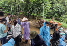 Tiêu hủy đàn lợn bị nhiễm bệnh dịch tả lợn châu Phi ở Lâm Đồng