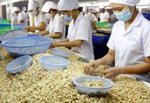 Mở rộng thị trường mới để xuất khẩu hạt điều