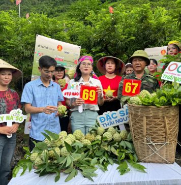 Khi nông sản Việt bước vào kỷ nguyên số