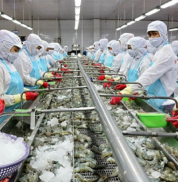 Nông, thủy sản Việt gặp khó với thuế đối ứng 20% của Mỹ