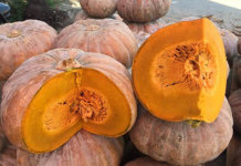 6 loại rau củ quả có dư lượng thuốc trừ sâu thấp