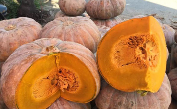 6 loại rau củ quả có dư lượng thuốc trừ sâu thấp