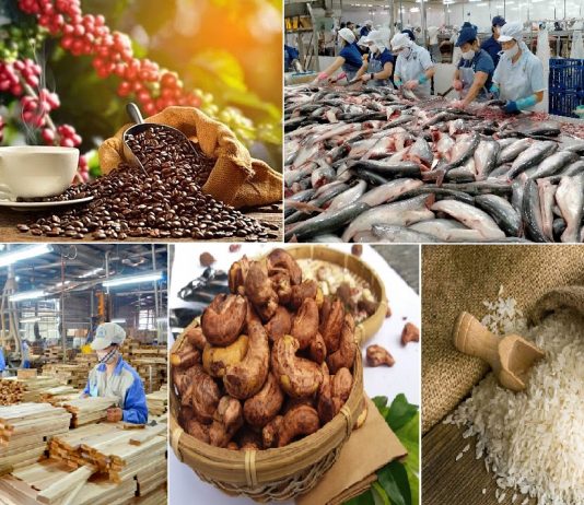 8 tháng xuất khẩu nông lâm thủy sản tăng 12%