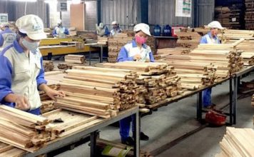 Doanh nghiệp ngành gỗ gặp khó khi hoàn thuế giá trị gia tăng