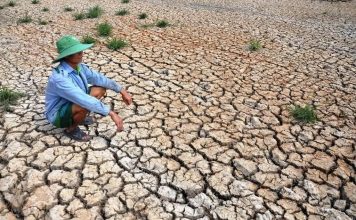 Sẽ phát triển phương pháp dự báo hạn hán sớm vài tháng